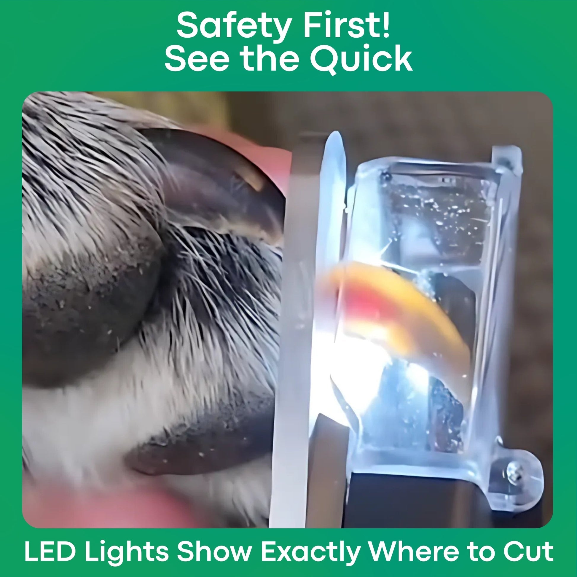 The SafeTrim™ By PupNourish